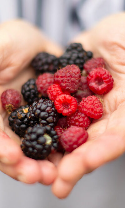 7 foods and remedies to fight cancer