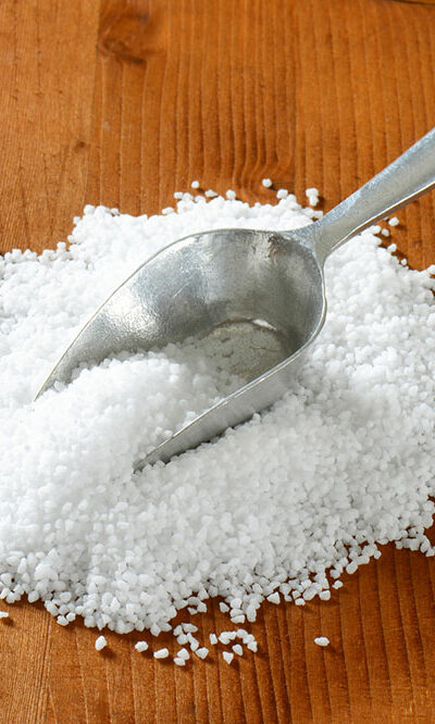 5 natural remedies to get rid of fleas in dogs