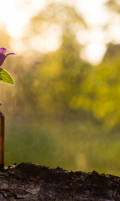 5 natural remedies to treat hair loss in children