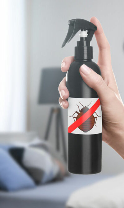The Best Ways to Get Rid of Bed Bugs