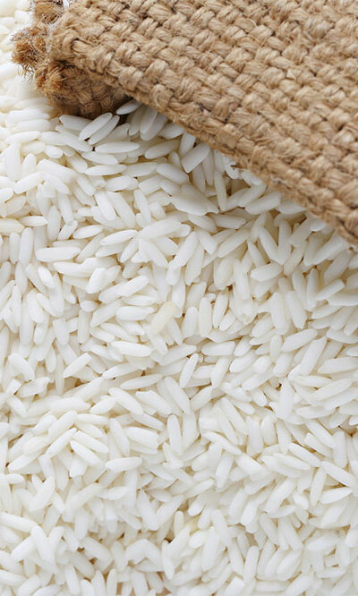 5 human foods that are safe for dogs