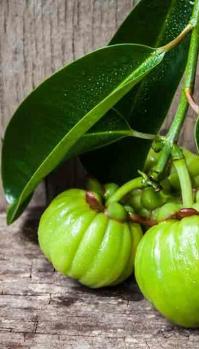Garcinia – Its Proposed Benefits and Side Effects