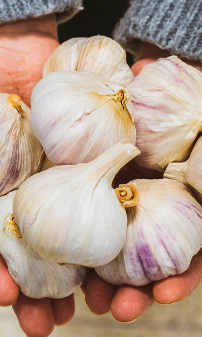 Foods to avoid with lupus