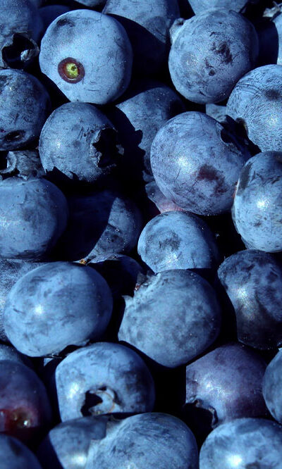 Foods, herbs, and remedies for managing lung cancer